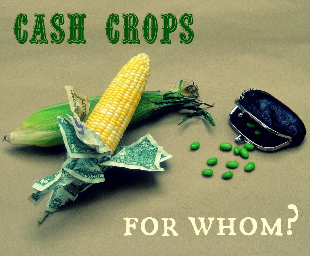 corncash