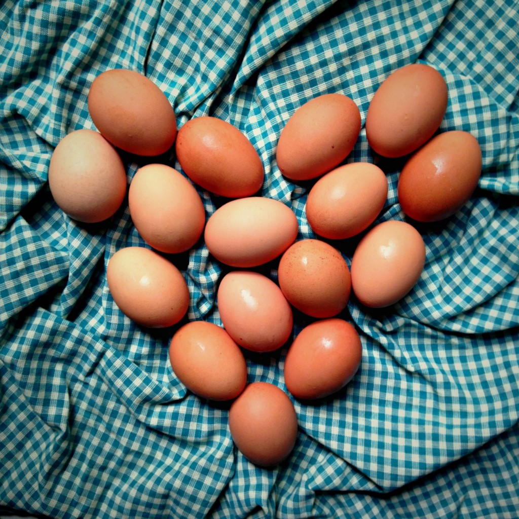 eggsheart